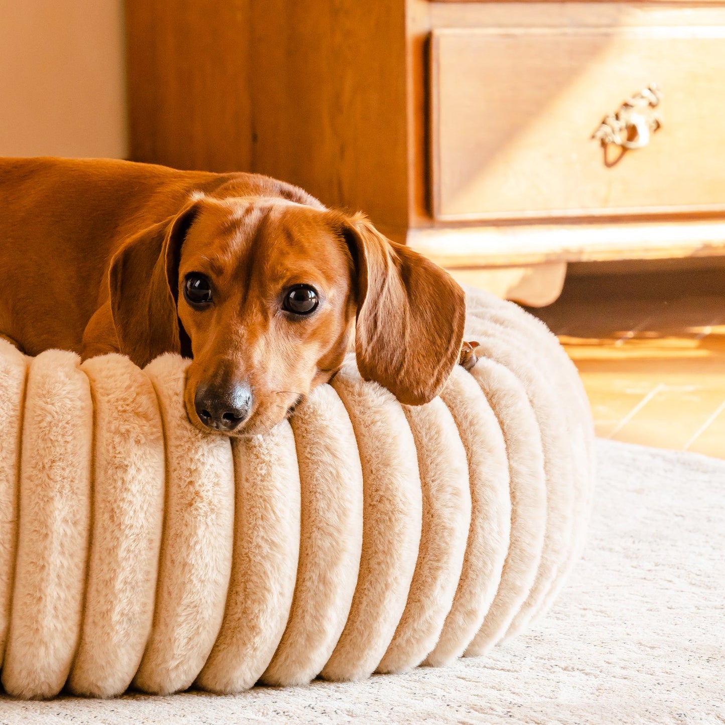 Aspen Fleece Cat & Dog Donut Bed